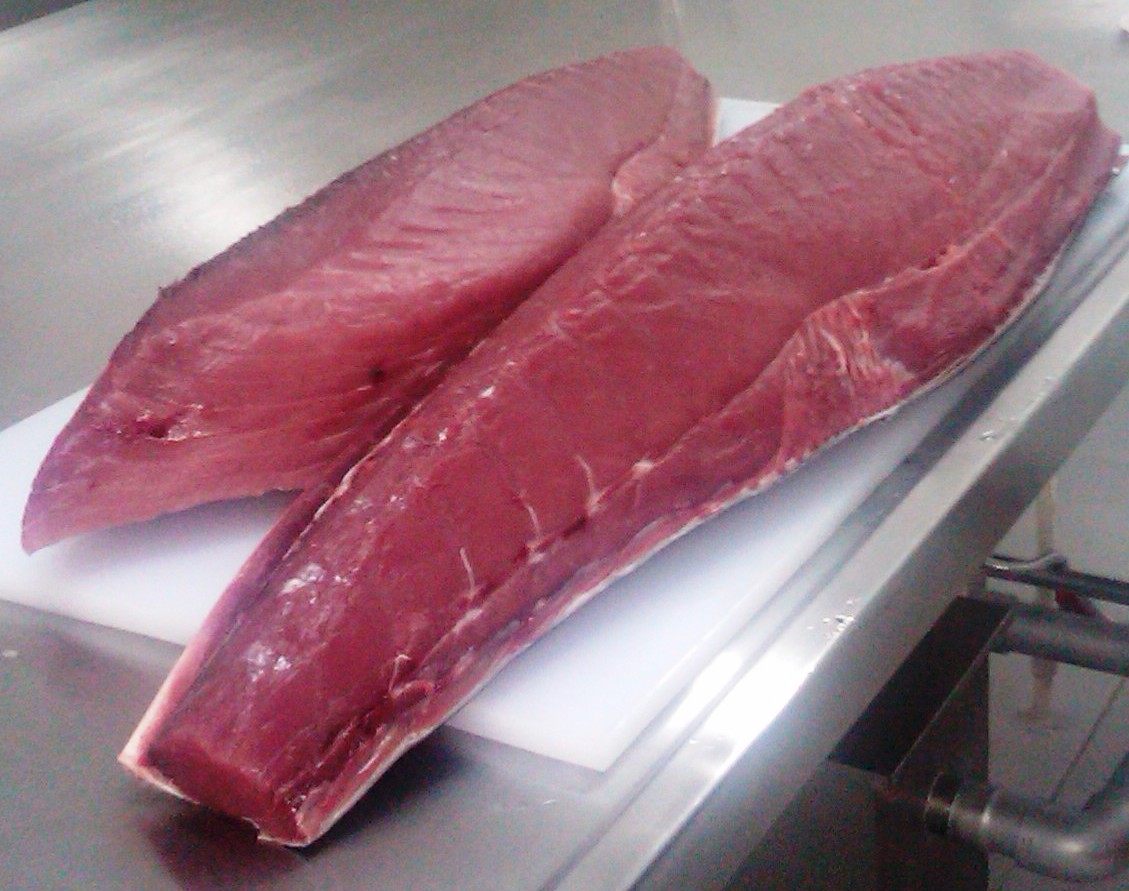 Tuna1