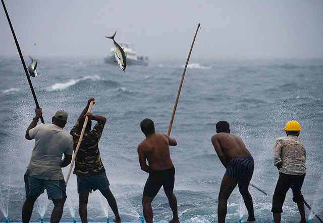 tuna-catchers(2)